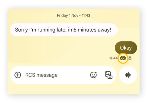 Example showing SMS read receipt as two ticks on a Google Pixel Android phone.